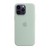 Capa Apple iPhone 14 Pro, Silicone, MagSafe, Suculenta, Proteção