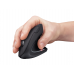 Rato Trust Verto Ergonomic Sem Fios - Ótico 1600 DPI, 6 Botões