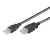 Cabo Ewent EC1067 USB-A 3m - Extensão, USB 2.0, Preto Cabo Ewent EC1067 USB-A 3m - Extensão, USB 2.0, Preto