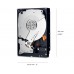 Disco Rígido WD Gold 1TB SATA3 7200RPM WD1005FBYZ