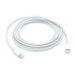 Cabo Apple USB-C para USB-C (2m) - Carregamento, Sincronização