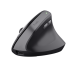 Rato Trust Bayo II Wireless Ergonómico - Recarregável, 2400 DPI, 6 Botões