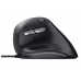 Rato Trust Bayo Ergonómico - USB, 4200 DPI, 6 Botões, Preto