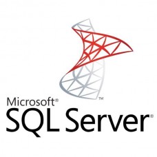 Sistema Operativo Microsoft SQL Server 2019 Enterprise DG7GMGF0FKZV-0004 (2 núcleos, 1 ano)