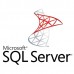 Sistema Operativo Microsoft SQL Server 2019 Enterprise DG7GMGF0FKZV-0004 (2 núcleos, 1 ano)