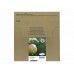 Epson Multipack T129 EasyMail - pack de 4 - tamanho L - preto,amarelo,azul cyan,magenta - original - tinteiro - C13T12954511
