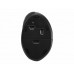 Kensington Pro Fit Ergo Wireless Mouse - rato vertical - 2.4 GHz - K79810WW