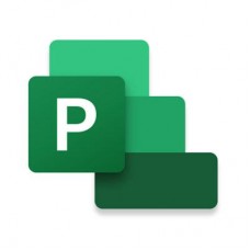 Software de Gestão de Projetos Microsoft Project Standard 2024