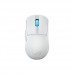 P716 ROG HARPE ACE MINI/WHT P716 ROG HARPE ACE MINI/WHT