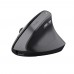 Trust - TM-270 Rato ergonómico sem fios - Preto