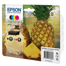 EPSON 1LB Multipack 4colours 604XL Ink w/s