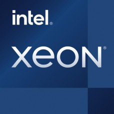 Intel Xeon E-2478 - 2.8 GHz - 8 núcleos - 16 threads - 24 MB cache - FCLGA1700 Socket - OEM
