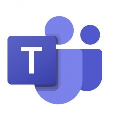 Software Microsoft Teams Phone com Plano de Chamadas (1 mês)