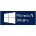 Software Gestão de Dispositivos Microsoft Intune (Mensal)