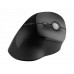 Kensington Pro Fit Ergo Vertical Wireless Mouse - rato vertical - 2.4 GHz - preto - K75501EU